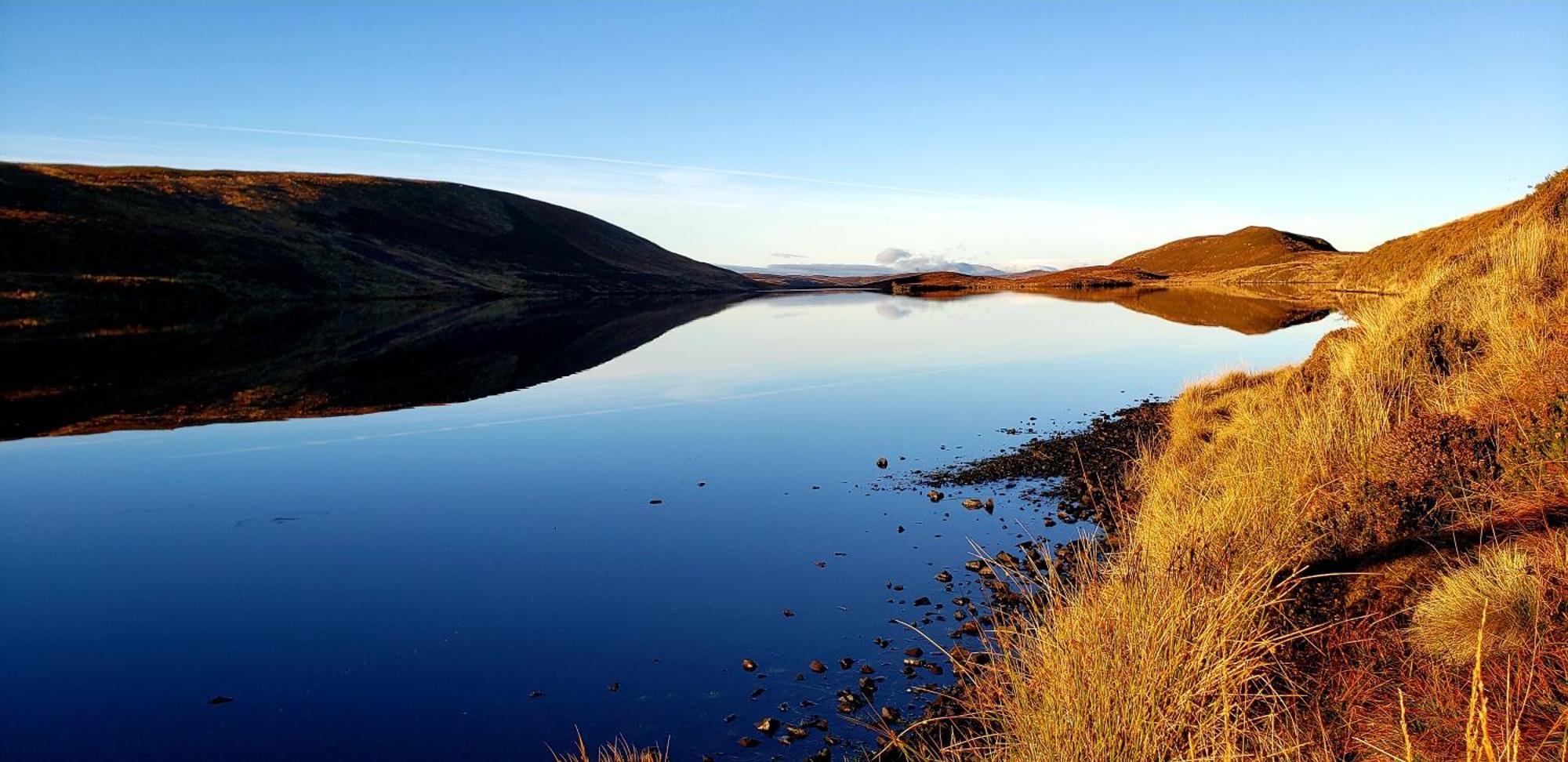 Highland Glen Lodges Rogart Exterior foto